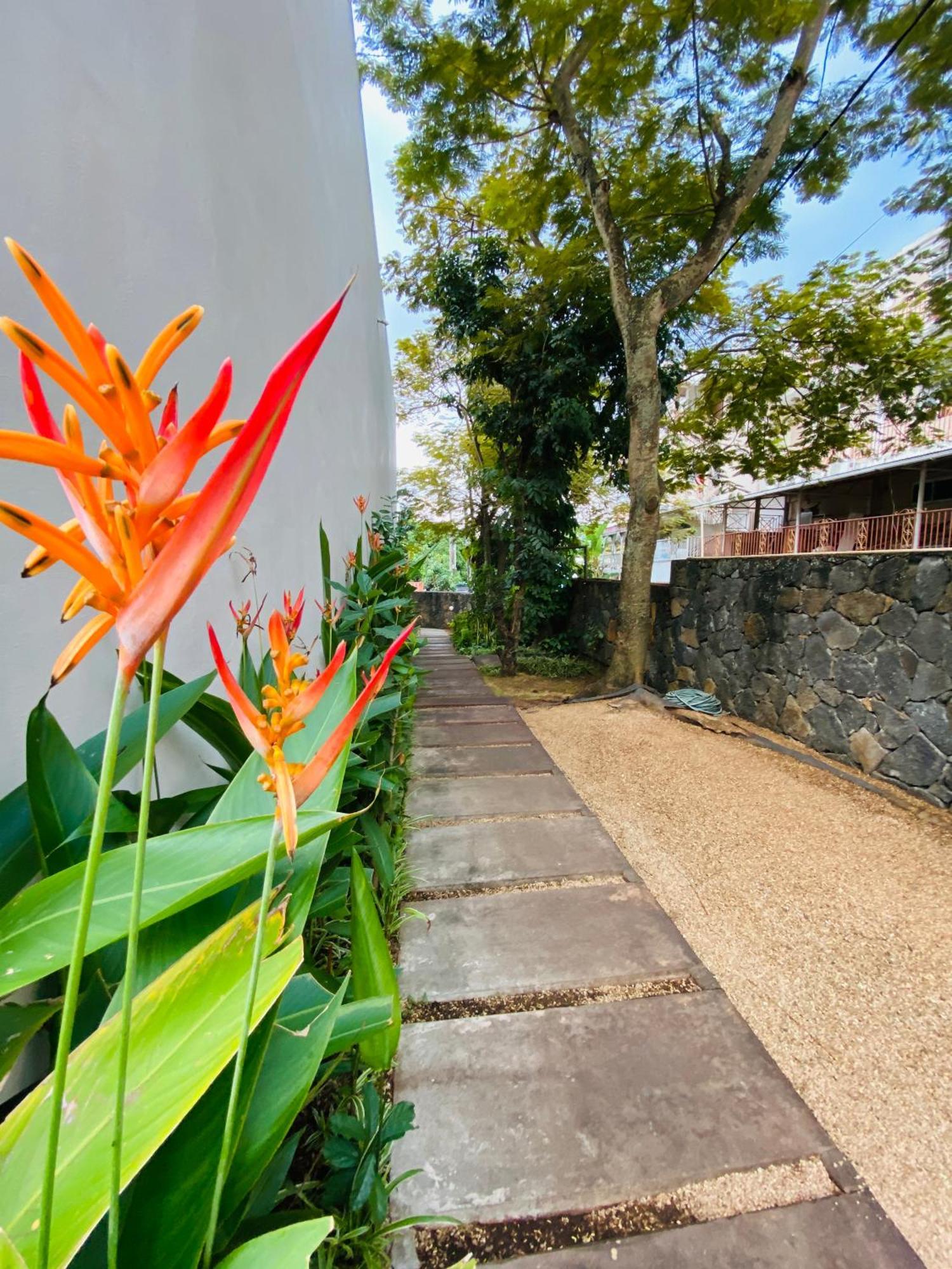 Belle Haven Gf 1Bedroom Flat Mont-Choisy Exterior photo